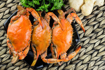 Steamed crabs with spices. Maryland blue crabs. Hot steamed blue crabs with ginger. Crab festival.