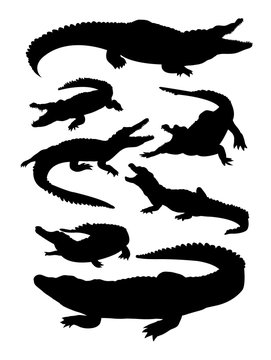 Crocodile Silhouette 