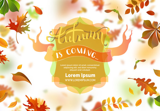 Autumn leaves background.