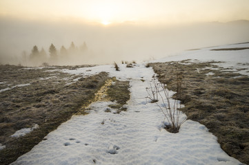 Cityscape of Gdansk in Poland