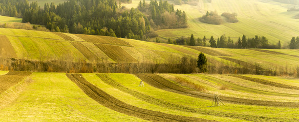 Wiosna w Pieninach