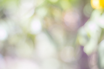 bokeh blur