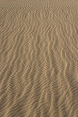 Vertical Lines of Sand Waves