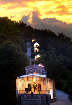 Chross forest in bulgarian mountains