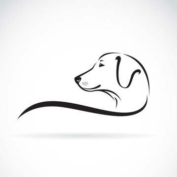 Vector image of an Labrador dog's head on white background