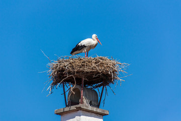 Stork in Nest on top of chimney with blue sky