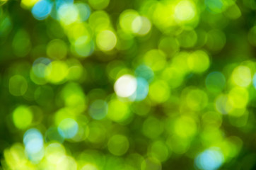 Obraz premium Natural blurred background.