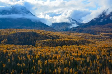 Beautiful Autumn with Tree's and Towering Mountains