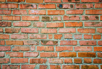Naklejka premium Old grunge brick wall background