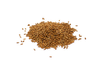 rye Secale Cereale grain on white background