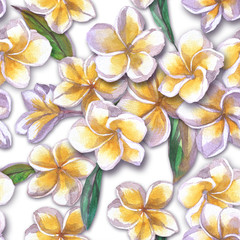 Tropical floral pattern watercolor flowers plumeria. White flower frangipani repeating.