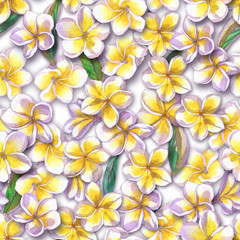 Fototapeta na wymiar Tropical floral pattern watercolor flowers plumeria. White flower frangipani repeating.