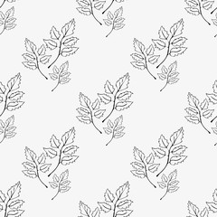 The pattern of contours of leaves.