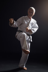 Fototapeta na wymiar Senior man practicing karate.