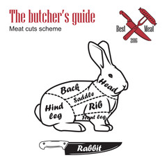 Butcher guide vector illustration. Cut scheme rabbit meat. Vintage