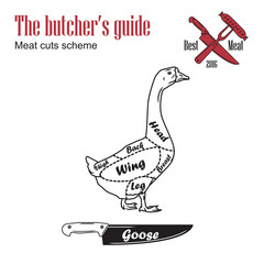 Butcher guide vector illustration. Cut scheme goose meat. Vintage