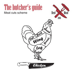 Fototapeta na wymiar Butcher guide vector illustration. Cut scheme chicken meat. Vintage