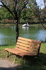Obraz na płótnie Canvas 秋の公園の水辺のベンチ