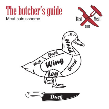 Butcher guide vector illustration. Cut scheme duck meat. Vintage