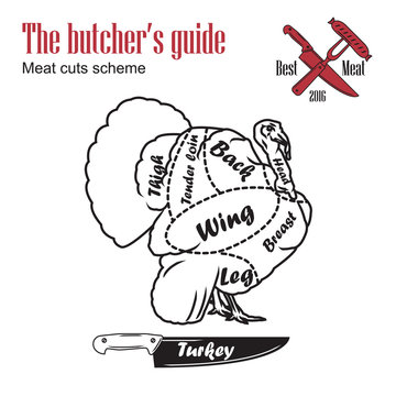 Butcher guide vector illustration. Cut scheme turkey meat. Vintage