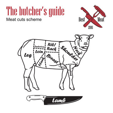 Butcher guide vector illustration. Cut scheme lamb meat. Vintage
