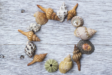 貝殻の円形フレーム