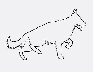 german shepherd pet dog doodle style. Good use for symbol, logo, web icon, mascot, or any design you want.