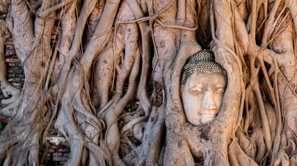 Ayutthaya Historical Park, Phra Nakhon Si Ayutthaya, Ayutthaya , Thailand.Image is soft focus.