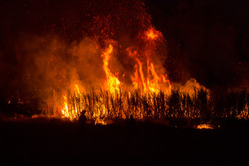 Silhouette,People look at big burning.