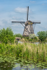 Naklejka premium les moulins de kinderdijk - pays Bas