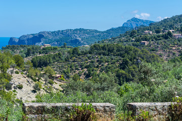 Wilde Westküstenlandschaft mit Blick aufs Meer.