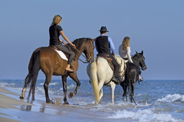 horse riders in the sea