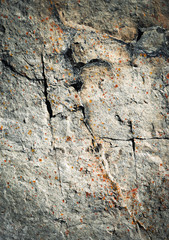 dark fissures on limestone rock