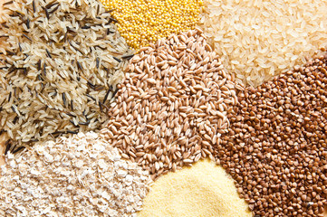 Assorted grains: oats, millet, rice, buckwheat, wheat, spelt 
