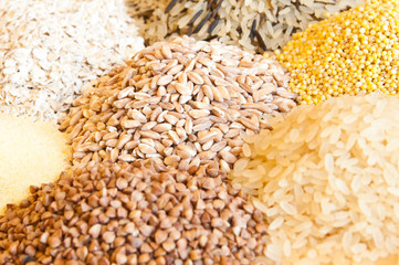 Assorted grains: oats, millet, rice, buckwheat, wheat, spelt 