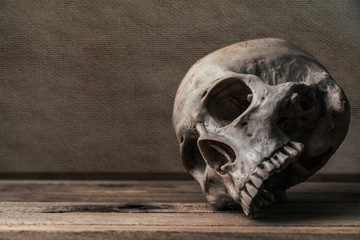 Still life with human skull on wood table