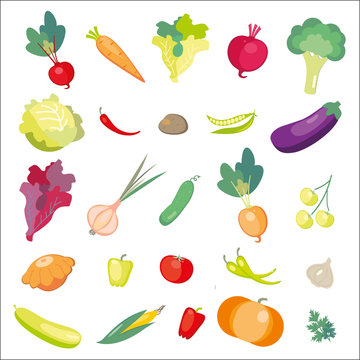 Icons of fresh vegetables. Vector illustration
