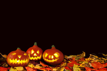 Drei Halloween Kürbisse auf buntem Laub vor schwarzem Hintergrund als Bande