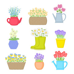 Flowers in different pots. Set of spring flowers. Vector illustration isolated on white background.