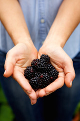 Woman holding ripe blackberries