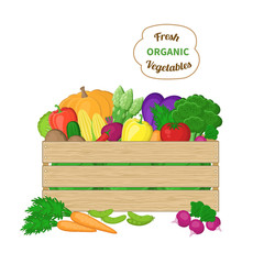 Harvest in a wooden box. Crate with autumn vegetables. Fresh Organic food from the farm. Vector colorful illustration of the autumn harvest isolated on white background.