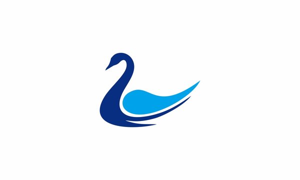 swan vector