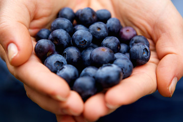 Handful of blueberries
