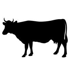 adult cow vector illustration black silhouette