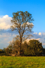 Obraz premium Ansatz des Herbstes