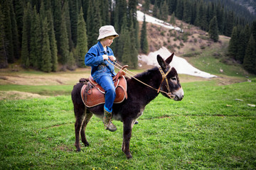 Boy rides a donkey - 122398465