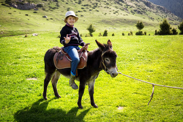 Boy rides a donkey - 122398490
