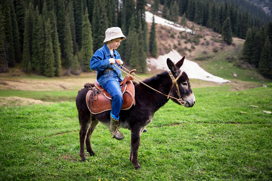 Boy rides a donkey