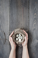 Woman's hands holding the nest