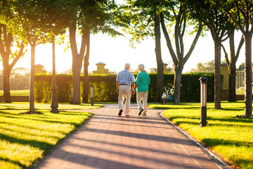 Back view of elderly couple. People walk and hold hands. Live and learn to love. See life in best...